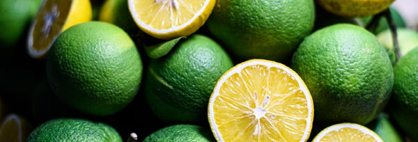 What is Bergamot? Bergamot essential oil info, uses and benefits