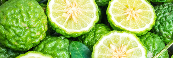 What is Makrut Lime Essential Oil? Makrut Lime Info, Uses and Amazing Benefits