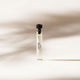 Zest Sample