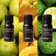 A Citrus Summer