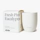 Fresh Pine Eucalyptus Candle
