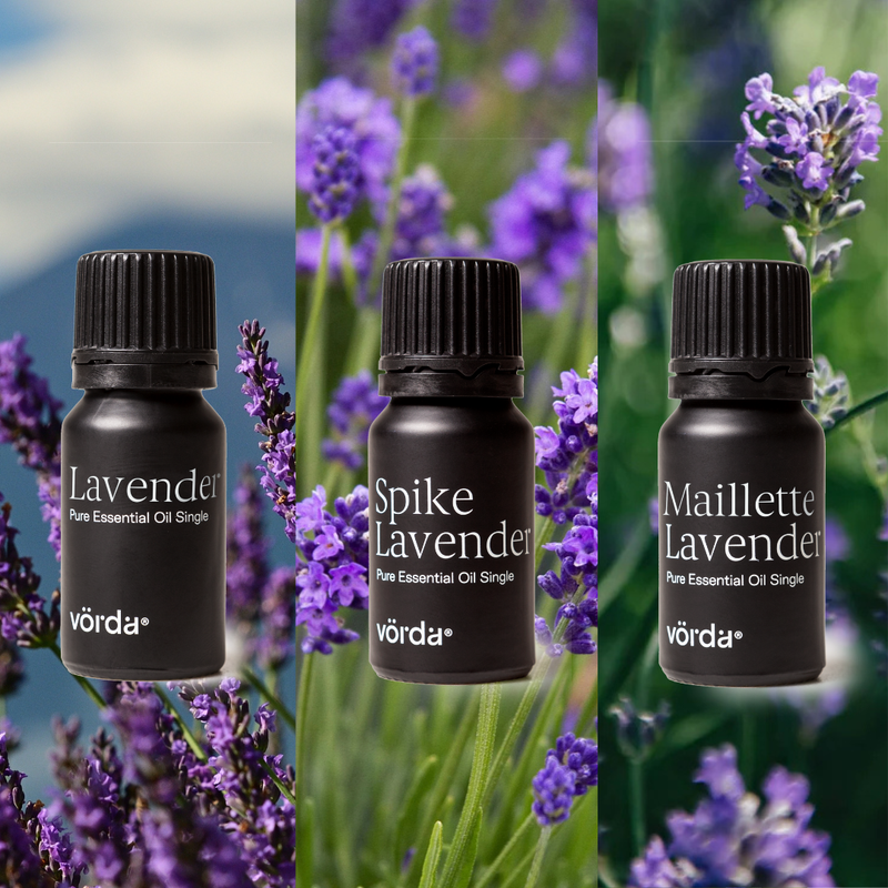 Lavender: Three Expressions